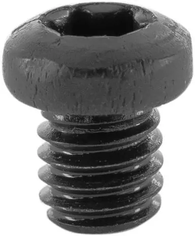 Sichere Zahlung Rundkopfschraube TORX 15